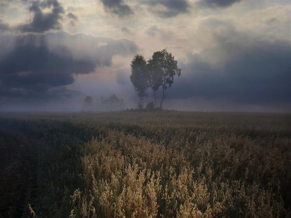 Хмурое утро