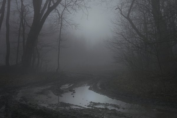 Хмурое утро