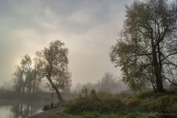 Хмурое утро