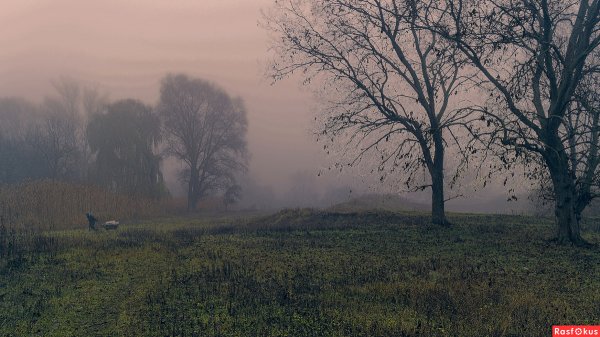 Пейзаж хмурое утро