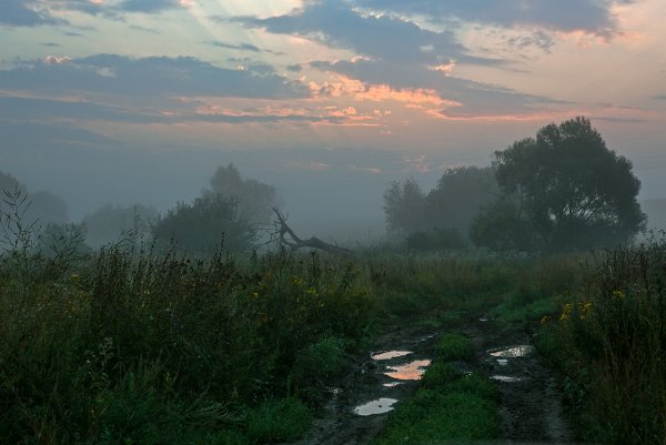 Пейзаж хмурое утро