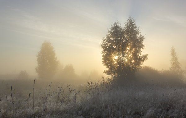 Холодное утро