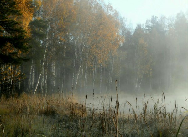 Холодный октябрь
