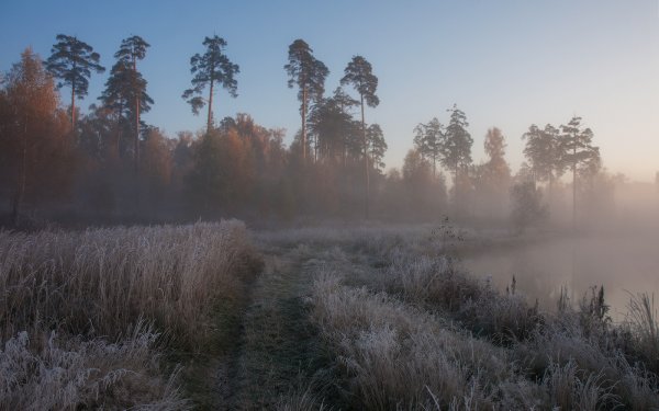Холодное туманное утро