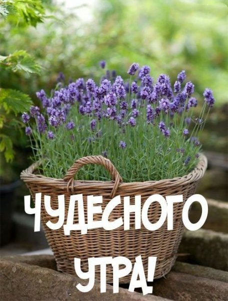 С добрым утром парню