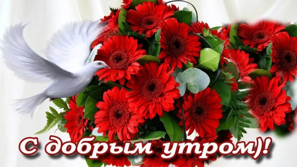 Открытки с добрым утром