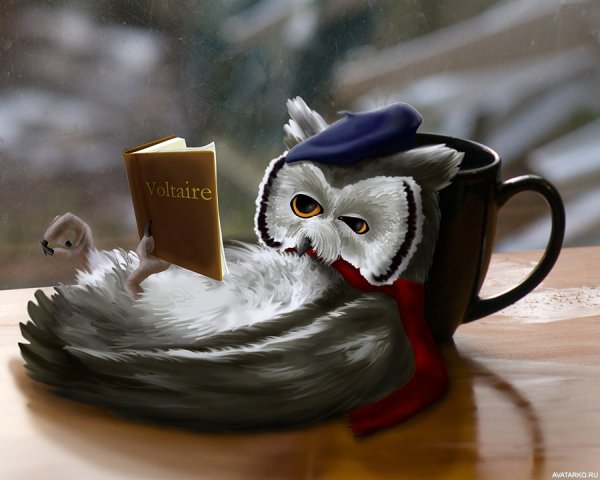 Совенок с чашкой кофе