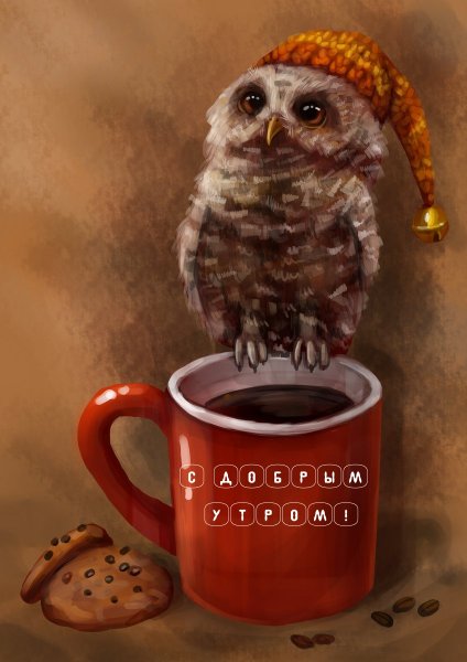 Сова пьет кофе