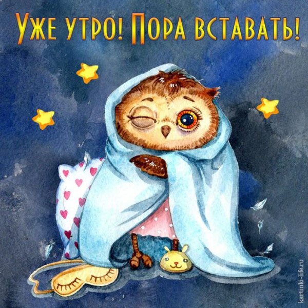Совы художницы Инги Пальцер