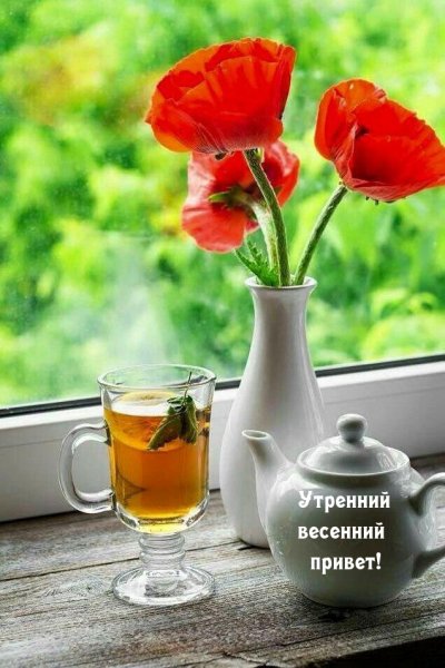 Прекрасного утра