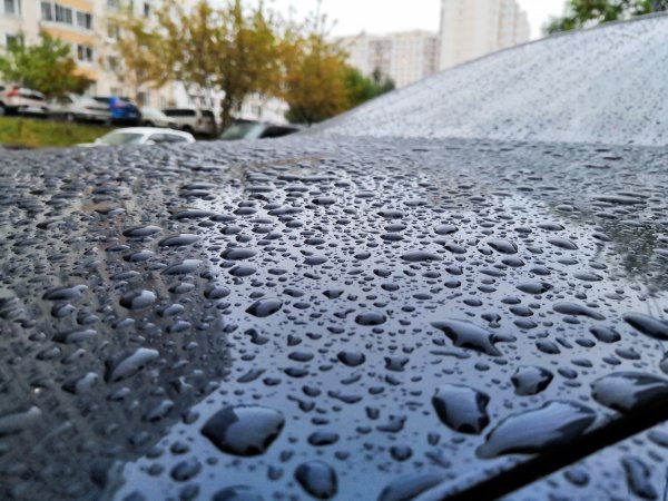 Влажное утро