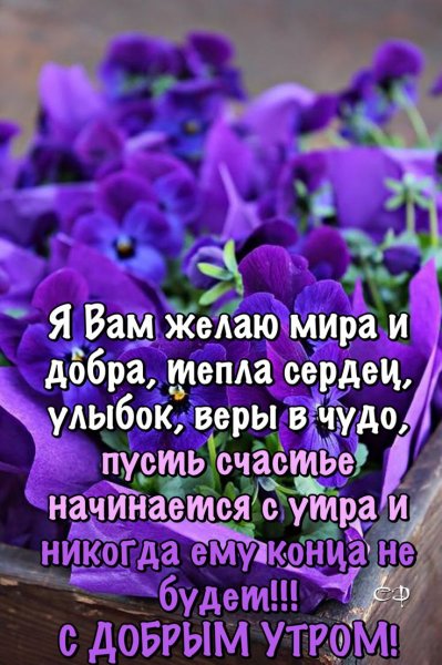 Мудрые высказывания утром