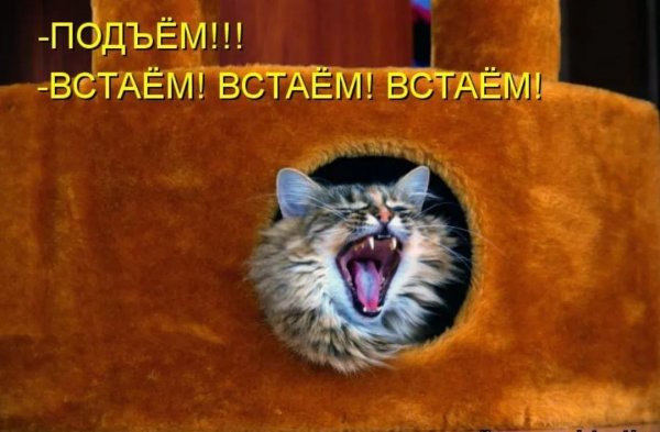 Ранний подъем утром