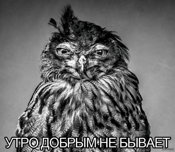 Недоброе утро