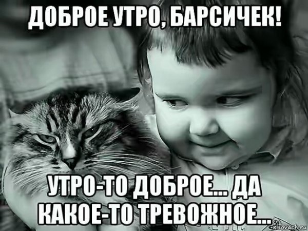 Доброе утро прикол