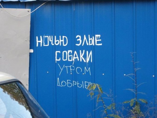 Доброе утро злой прикол