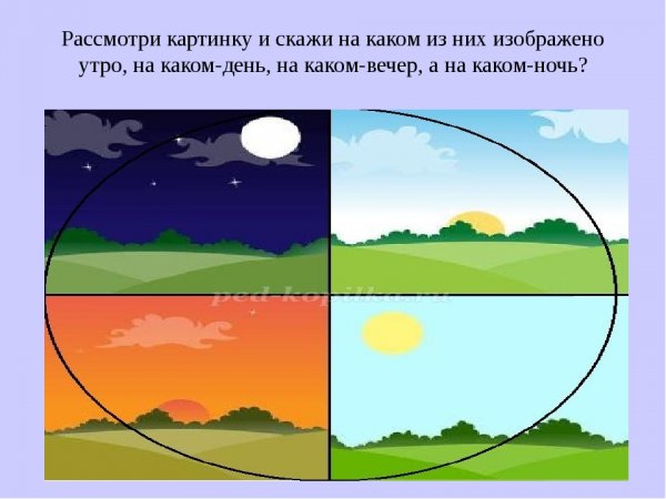 Утро, день, вечер, ночь