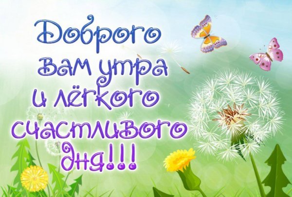 Доброе утро счастливого дня