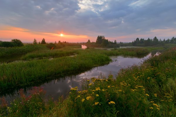 Коми природа вечер лето