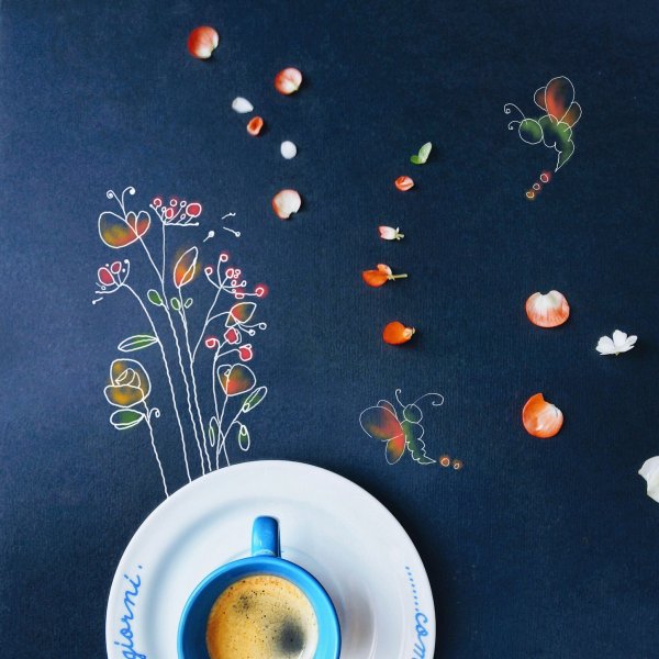 Синция Болонези Cinzia Bolognesi