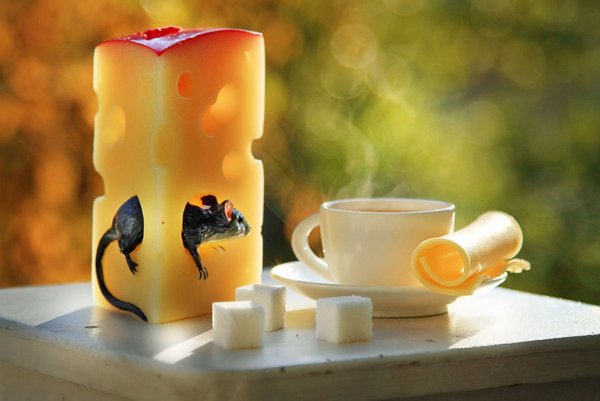 Художник Cinzia Bolognesi