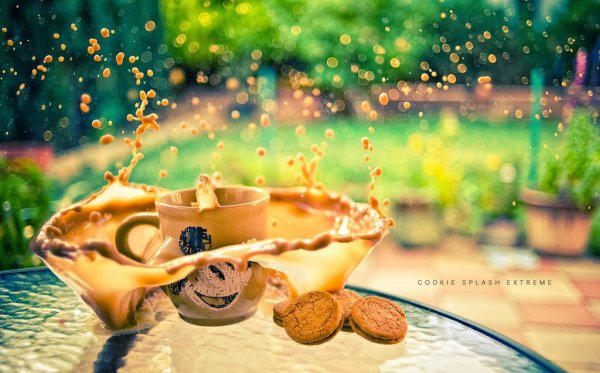 Синция Болонези картины