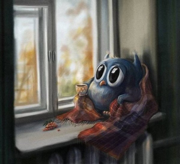 Птица под дождем