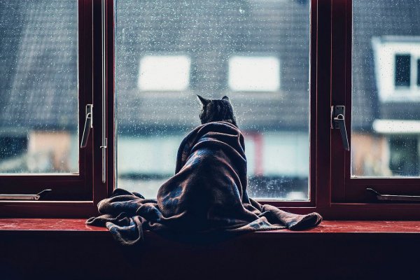 Кофе в постель