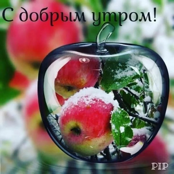 Пожелания с добрым утром с фруктами