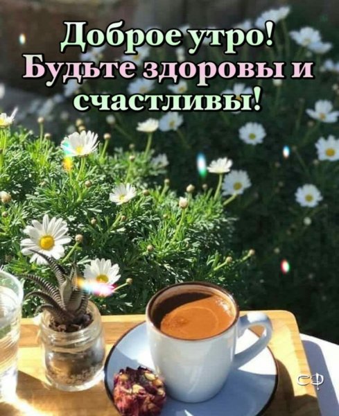 Доброе утро будьте здоровы