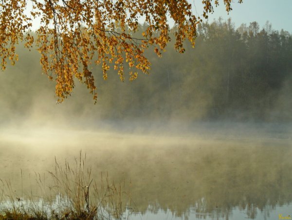 Сентябрьское утро