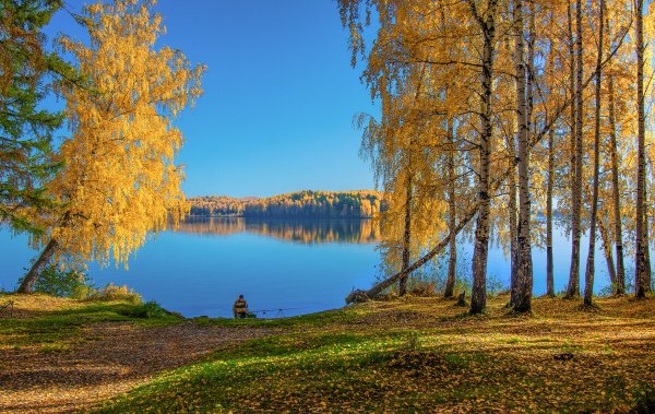 Осеннее утро