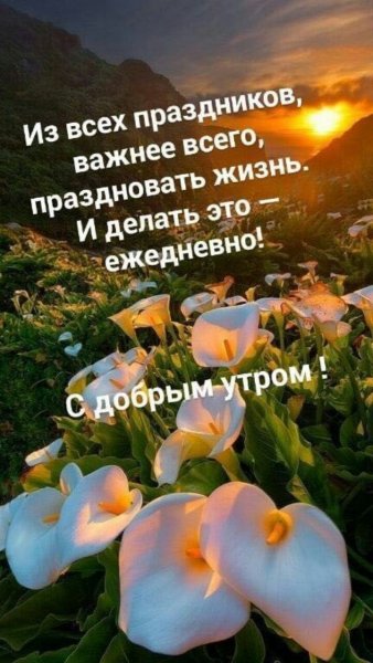 Доброе утро жизнь прекрасна