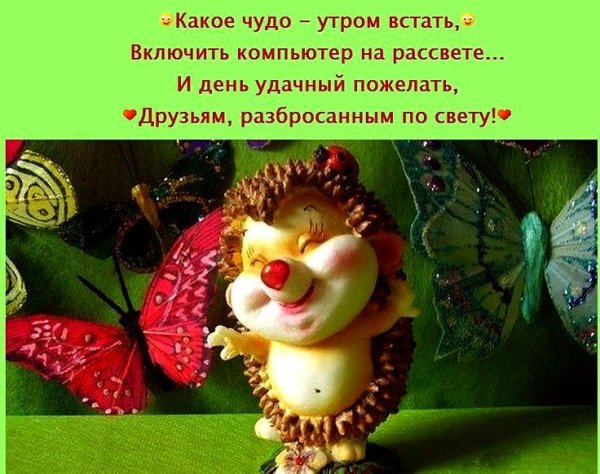 Какое чудо утром встать