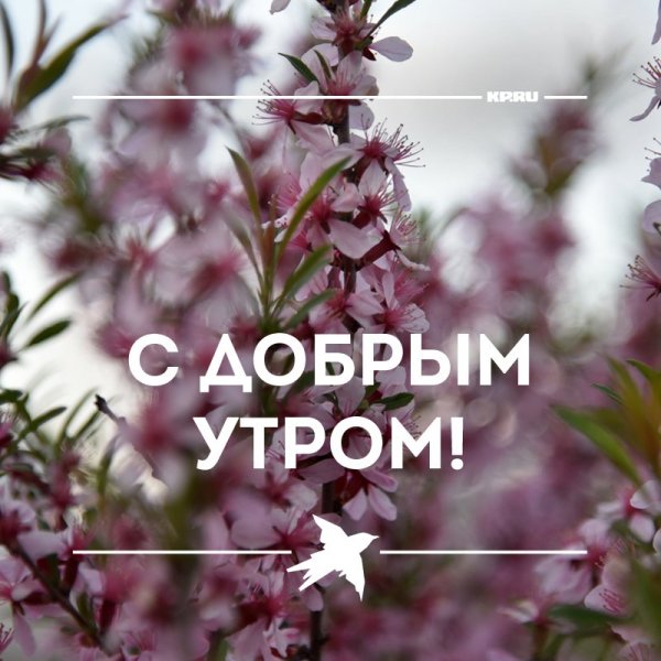 Доброе утро выходные