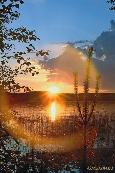 Солнечное Весеннее утро