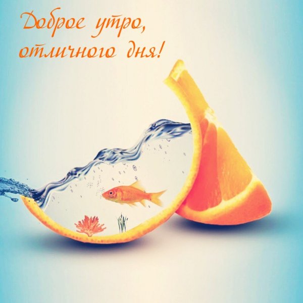 Доброе утро необычные