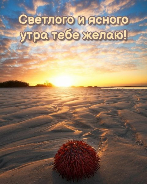 Ясное утро