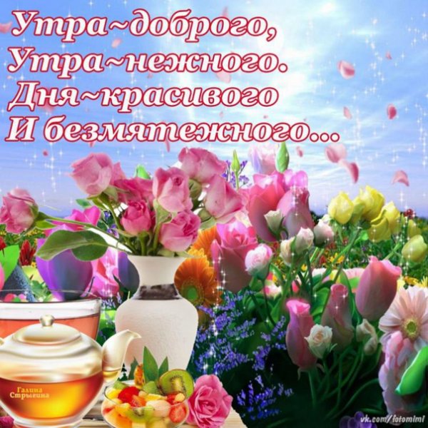 Доброе утро светлого дня