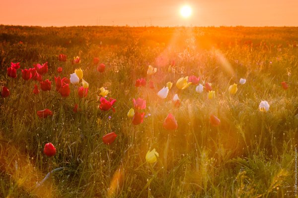 Солнечное утро нового дня