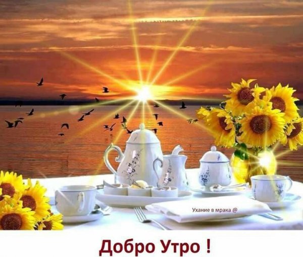 Доброе солнечное утро