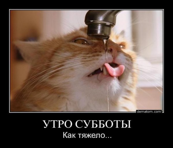 Суббота утро прикол