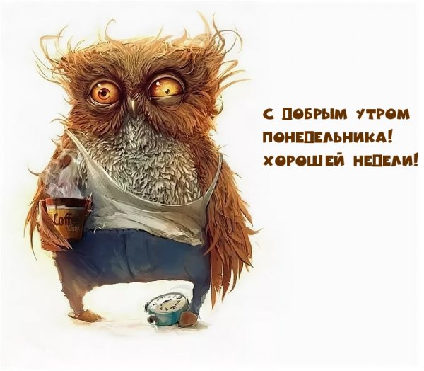 Сова с дергающимся глазом