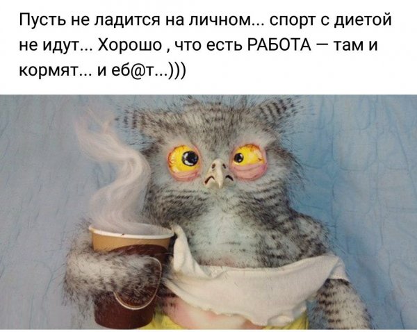 Заспанная Сова
