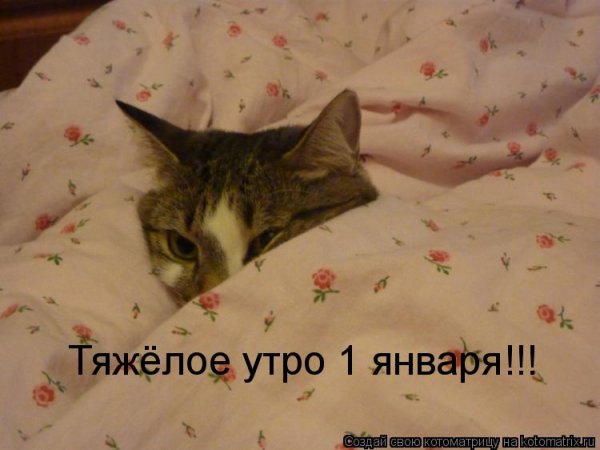 Доброе утро первого января