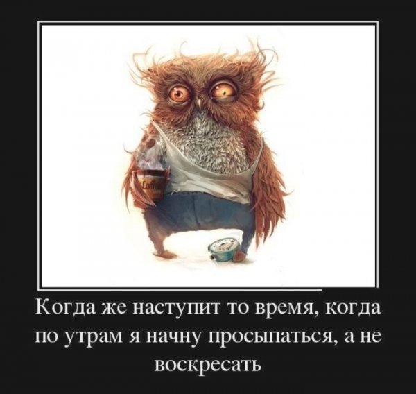 Демотиваторы с добрым утром прикольные
