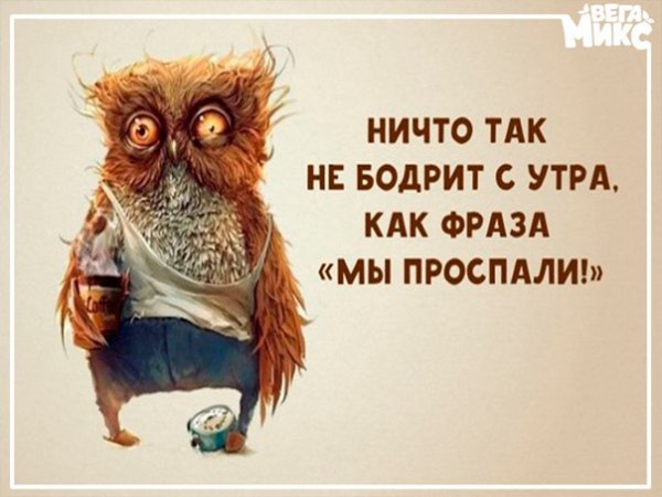 Высказывание про бодрость