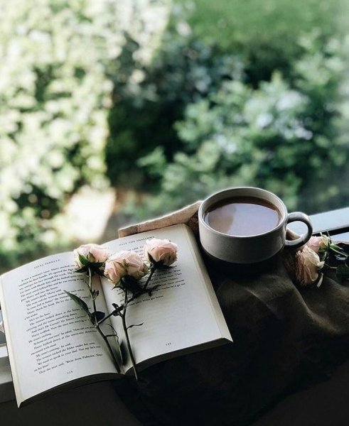 Книга природа