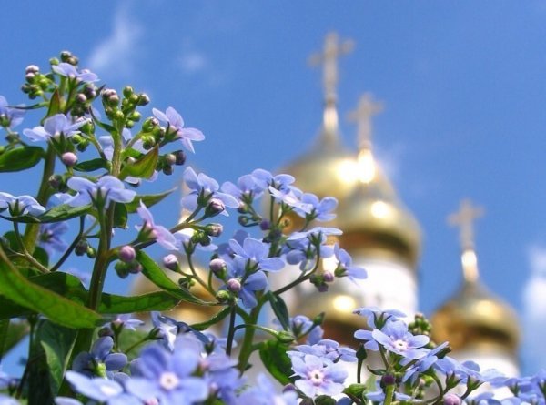 Цветы Божьей благодати