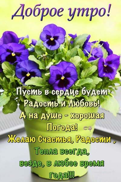 Доброе утро благословенного дня